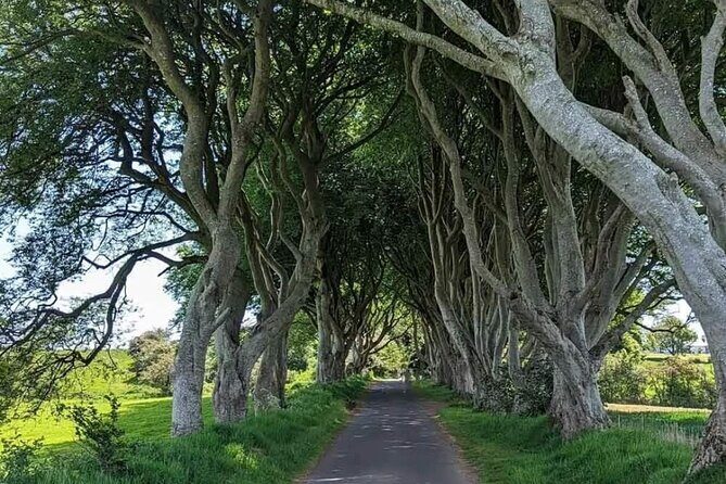 Belfast & Giants Causeway Luxury Mercedes Private Tour for 6 pax - Key things that make this private tour worth your time
