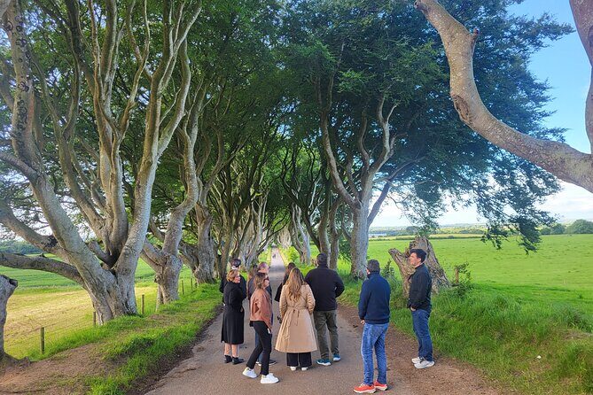 Belfast & Giants Causeway Luxury Mercedes Private Tour for 6 pax - Price and logistics: what $1,224.87 per group actually buys you