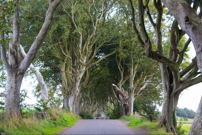 Experience the Antrim Coast and the Land of Giants - Private Tour - What the Air-Conditioned Private Transport Really Changes