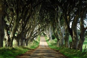 Game of Thrones and Giant's Causeway Day Tour from Belfast - Central Belfast at 9:00 am: getting in, getting moving, getting fed by stories
