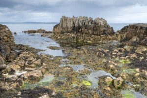 Game of Thrones and Giant's Causeway Full-Day Tour from Belfast - Carrickfergus Castle: a fast photo stop with real atmosphere