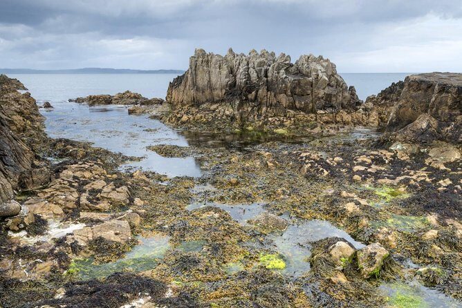 Game of Thrones and Giant's Causeway Full-Day Tour from Belfast - Carrickfergus Castle: a fast photo stop with real atmosphere