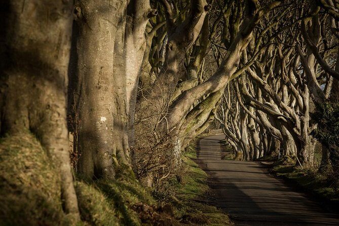 Giant's Causeway and more including Titanic Experience Ticket Tour from Belfast - Giant’s Causeway: UNESCO columns, folklore, and a real walk